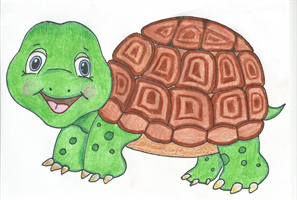 Schildkrötengruppe
