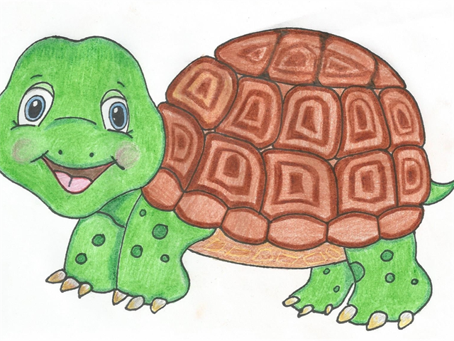 Schildkrötengruppe